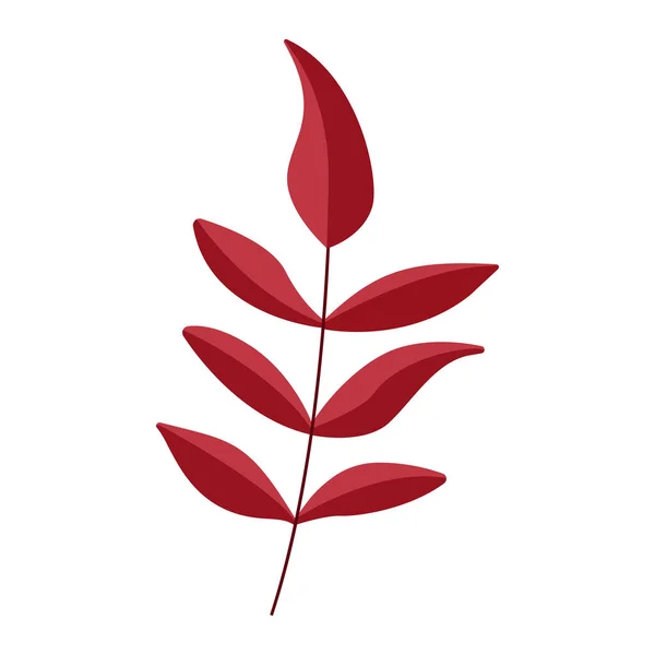 Различные Осенние Векторные Красные Листья Выделены Белом Фоне Весна — стоковый вектор