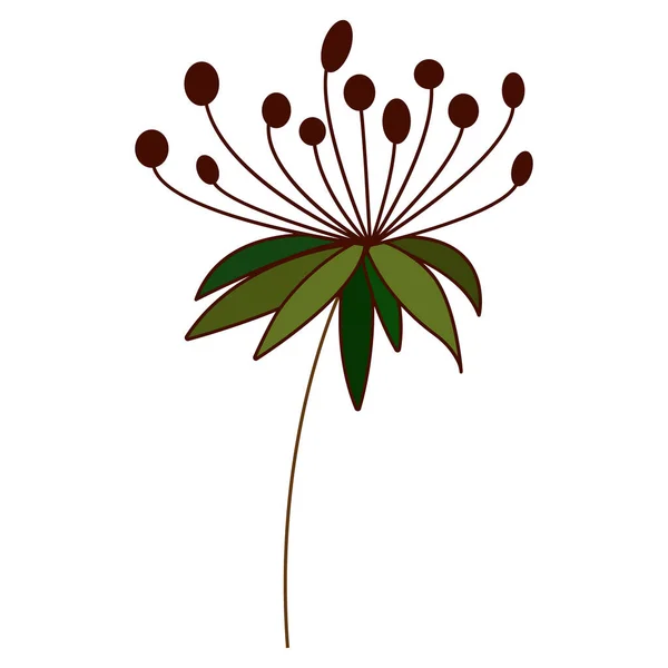 秋天的病媒植物元素 手绘花卉Eps10 — 图库矢量图片
