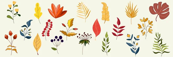 Kolekcja Zabytkowych Kwiatów Liści Zestaw Ilustracji Jesiennymi Liśćmi Brunchami Jagodami — Wektor stockowy