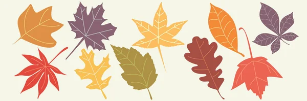 Conjunto Folhas Outono Coloridas Ilustração Vetorial —  Vetores de Stock