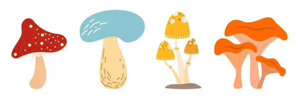 感恩节 找同样的蘑菇 儿童秋季比赛活动 为孩子们设计的有趣的秋季教育季节逻辑测验工作表 与森林植物进行简单的可打印游戏 — 图库矢量图片