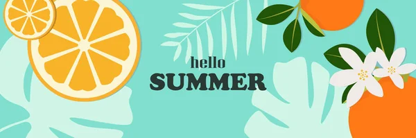 Літній Сезон Продаж Банера Шматочками Тропічних Стиглих Апельсинових Фруктів Яскравий — стоковий вектор