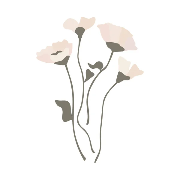 Весенние Цветы Лето Весна Цветут Лес Сад Цветы Поле Изолированы — стоковый вектор