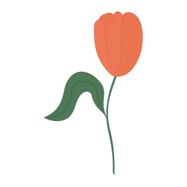 Bahçe çiçeği, bitkiler, botanik, vektör moda, kumaş, nane arkaplan renginde duvar kâğıdı baskıları. Basit bir çiçek. Bahar ya da Yaz Çiçekleri Ormanı.