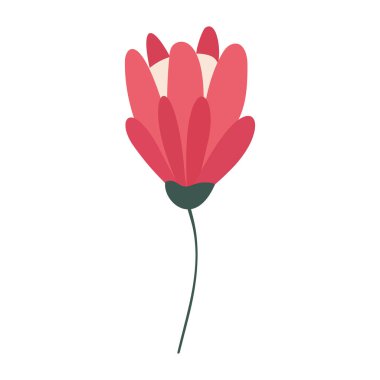 Bahçe çiçeği, bitkiler, botanik, vektör moda, kumaş, nane arkaplan renginde duvar kâğıdı baskıları. Basit bir çiçek. Bahar ya da Yaz Çiçekleri Ormanı.