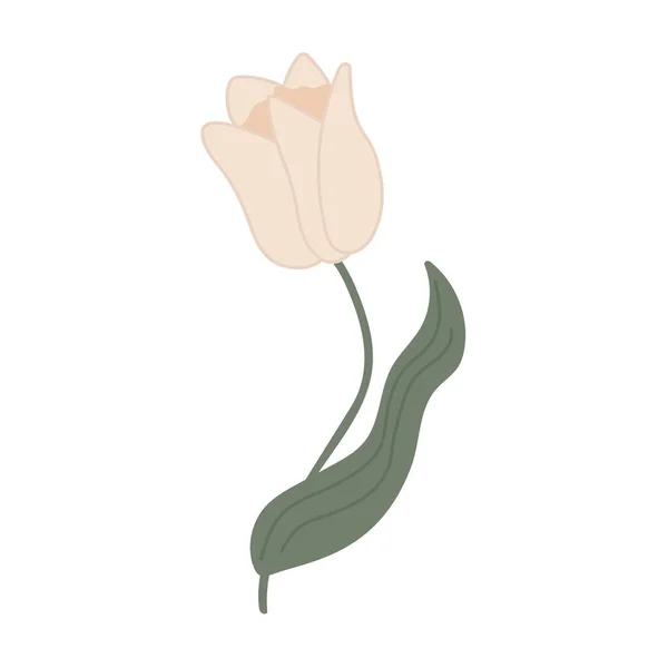 Весенние Цветы Лето Весна Цветут Лес Сад Цветы Поле Изолированы — стоковый вектор