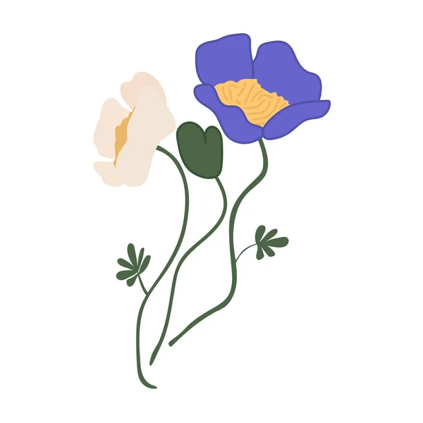 Jarní Květiny Letní Jarní Kvetoucí Lesní Zahradní Květiny Pole Izolované — Stockový vektor