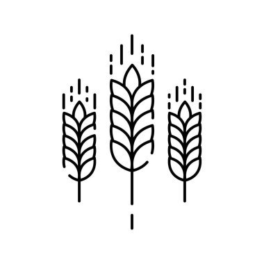 Buğday taneleriyle vektör logoları topluyorum. Tarım ve küresel tarım hattı simgeleri. Tahıl, buğday ve arpa.