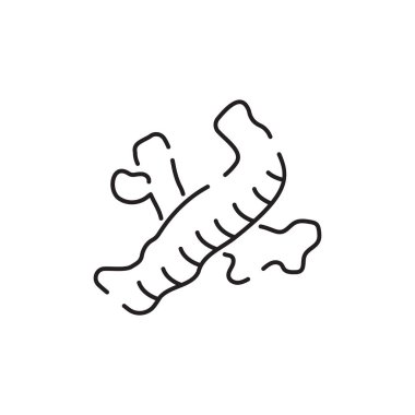 Vejetaryen, sebze, sebze, en az ince çizgi ikonu. Domates, salatalık, kohlrabi, karnabahar, pattypan kabağı, keman başları gibi basit vektör simgesi İyi yemek ve sağlık.