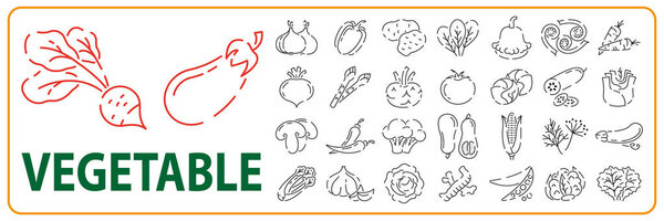 Vegetarian, vegetable, veggies - minimal thin line icon set. Simple vector icon as tomato, cucumber, kohlrabi, cauliflower, pattypan squash, fiddleheads good food and health.