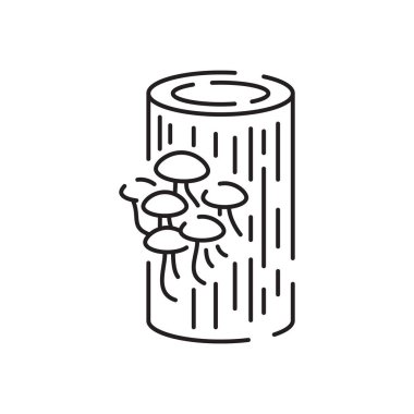 Orman mantarı vektör çizgisi simgesi. Beyaz arkaplanda izole edilmiş web tasarımı için ana orman mantar vektör simgesi.