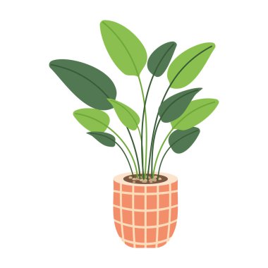 Esrar vektör illüstrasyonuna yerleştirin. Çizgi film dairesi farklı ev ya da ofis dekorasyonu için dekoratif desenler, beyaz üzerine izole edilmiş yeşil bahçe çiçek toplama ikonları..