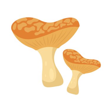 Karikatür mantarları beyaz arka planda izole edilmiş düz çizimler. Orman. Sonbahar ve bahar. Organik doğa.