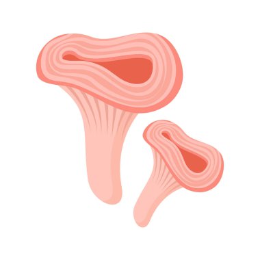 Karikatür mantarları beyaz arka planda izole edilmiş düz çizimler. Orman. Sonbahar ve bahar. Organik doğa.