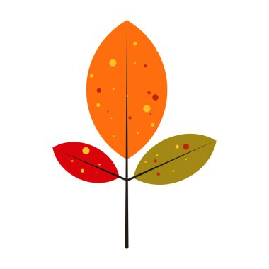 Sonbahar dekorasyon ve çerçevelerinin bir tasviri. Renkli Sonbahar Yaprakları Canlı Desenler ve Doğal Tasarımlarla İllüzyonlar.