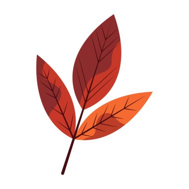 Sonbahar dekorasyon ve çerçevelerinin bir tasviri. Renkli Sonbahar Yaprakları Canlı Desenler ve Doğal Tasarımlarla İllüzyonlar.