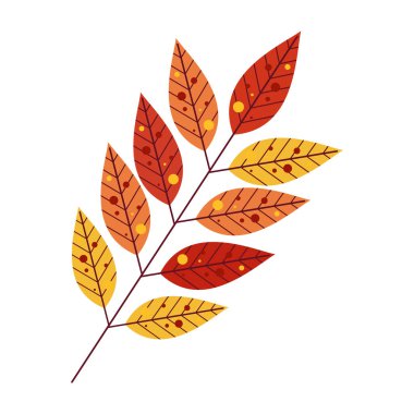 Sonbahar mevsimi konsepti için düz sonbahar yaprakları çiz. Beyaz arkaplan.
