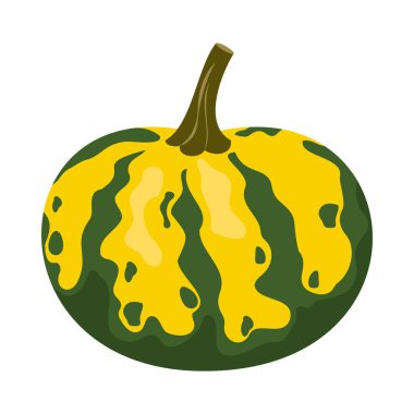 Farklı şekillerde ve renklerde bal kabağı. Şükran Günü ve Cadılar Bayramı elementleri. Düz çizgi film stili Illustration hasat ediliyor.