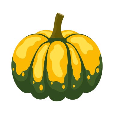 Farklı şekillerde ve renklerde bal kabağı. Şükran Günü ve Cadılar Bayramı elementleri. Düz çizgi film stili Illustration hasat ediliyor.