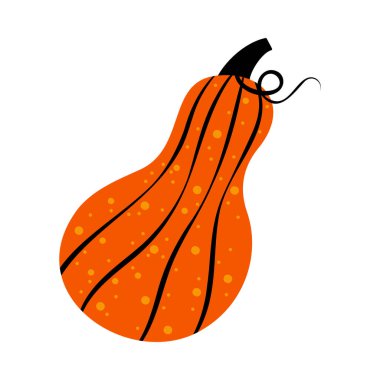 Balkabağı illüstrasyonları karikatür tarzı havalı funky tarzında. Su kabaklarının farklı şekilleri. Tatlı renkli, düz balkabağı eli sonbahar hasadı, sonbahar, mevsimsel Cadılar Bayramı grafik elementleri.