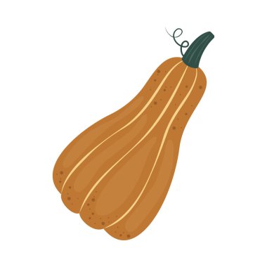 Balkabağı ve yapraklar. Renkli balkabağıyla çiçek aranjmanı yap. El çizimi düz stil. Mevsimlik hasat ve Cadılar Bayramı İllüstrasyonu.