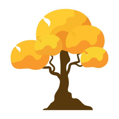 Çizgi film tarzında güzel bir sonbahar ağacı. Sarı, kırmızı, sonbahar ağacının farklı türleri ve yaprakları beyaz arkaplanda izole edilmiş çalıların vektör çizimi.