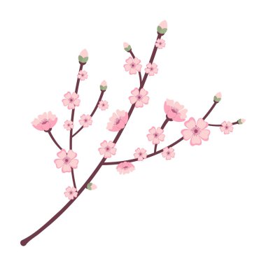 Sakura Blossom Şube İlkbaharı.