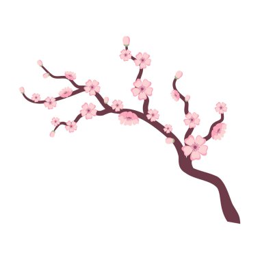 Sakura Blossom Şube İlkbaharı.