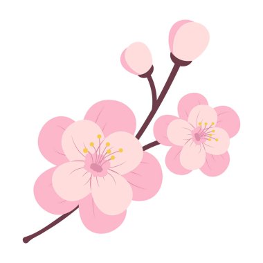 Sakura Blossom Şube İlkbaharı.