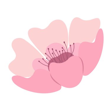 Zarif Sakura Çiçek Resimleri Düz Pastel Rengi.