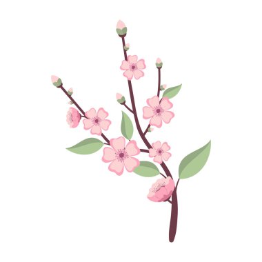 Sakura Blossom Şube İlkbaharı.