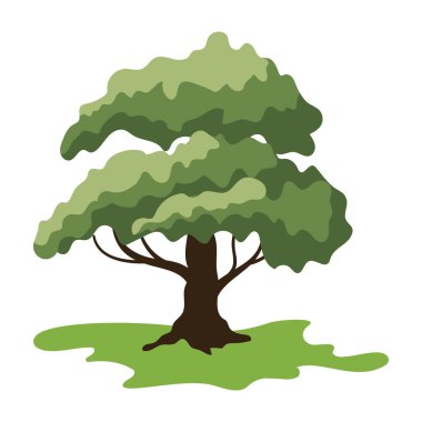 Basit Yeşil Ağaç Resimleri.