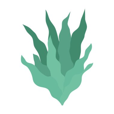 Sualtı Bitkileri ve Deniz Kabukları Vektör İllüstrasyonu.