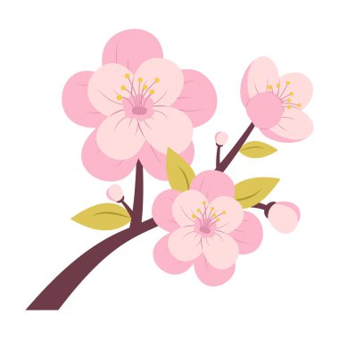 Pembe Çiçek Vektör Resimleri Sakura.