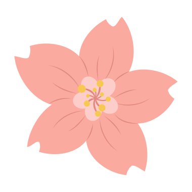 Pembe Çiçek Vektör Resimleri Sakura.