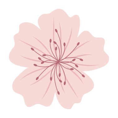 Pembe Çiçek Vektör Resimleri Sakura.