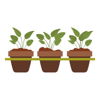 Bahçe Malzemeleri ve Sebze Yetiştirme Simgeleri Ayarlandı.