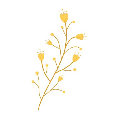 Çeşitli kır çiçekleri ve botanik saplarının basit düz vektör çizimleri.