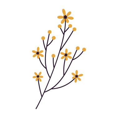 Çeşitli kır çiçekleri ve botanik saplarının basit düz vektör çizimleri.