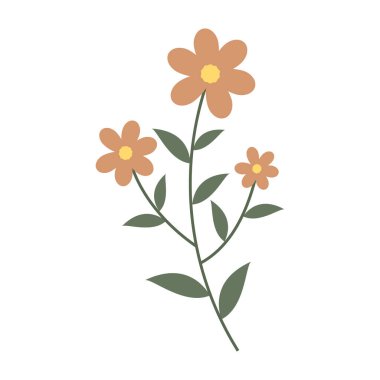 Çeşitli kır çiçekleri ve botanik saplarının basit düz vektör çizimleri.