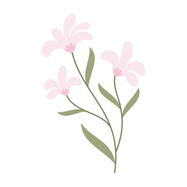 Çeşitli kır çiçekleri ve botanik saplarının basit düz vektör çizimleri.