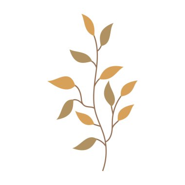 Çeşitli kır çiçekleri ve botanik saplarının basit düz vektör çizimleri.