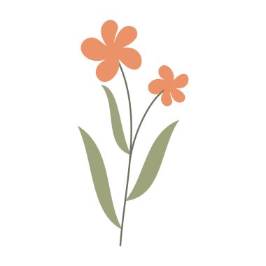 Asgari düz yaprak çizimleri ve beyaz arkaplanda basit çiçekler.