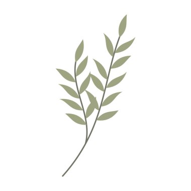 Asgari düz yaprak çizimleri ve beyaz arkaplanda basit çiçekler.