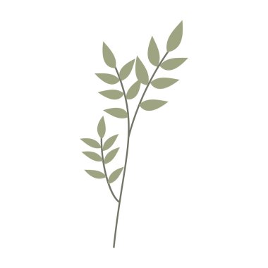 Asgari düz yaprak çizimleri ve beyaz arkaplanda basit çiçekler.