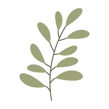 Yapraklar ve küçük çiçeklerin yer aldığı düz botanik çizimler koleksiyonu.