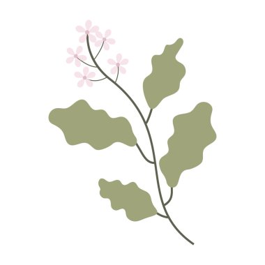 Yapraklar ve küçük çiçeklerin yer aldığı düz botanik çizimler koleksiyonu.