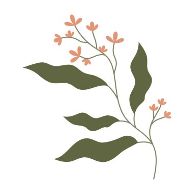 Yapraklar ve küçük çiçeklerin yer aldığı düz botanik çizimler koleksiyonu.