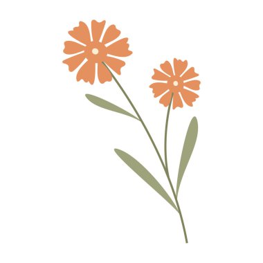 Yapraklar ve küçük çiçeklerin yer aldığı düz botanik çizimler koleksiyonu.