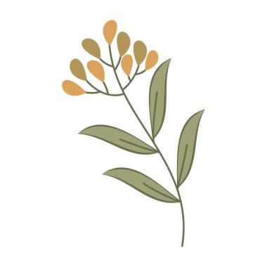 Yapraklar ve küçük çiçeklerin yer aldığı düz botanik çizimler koleksiyonu.